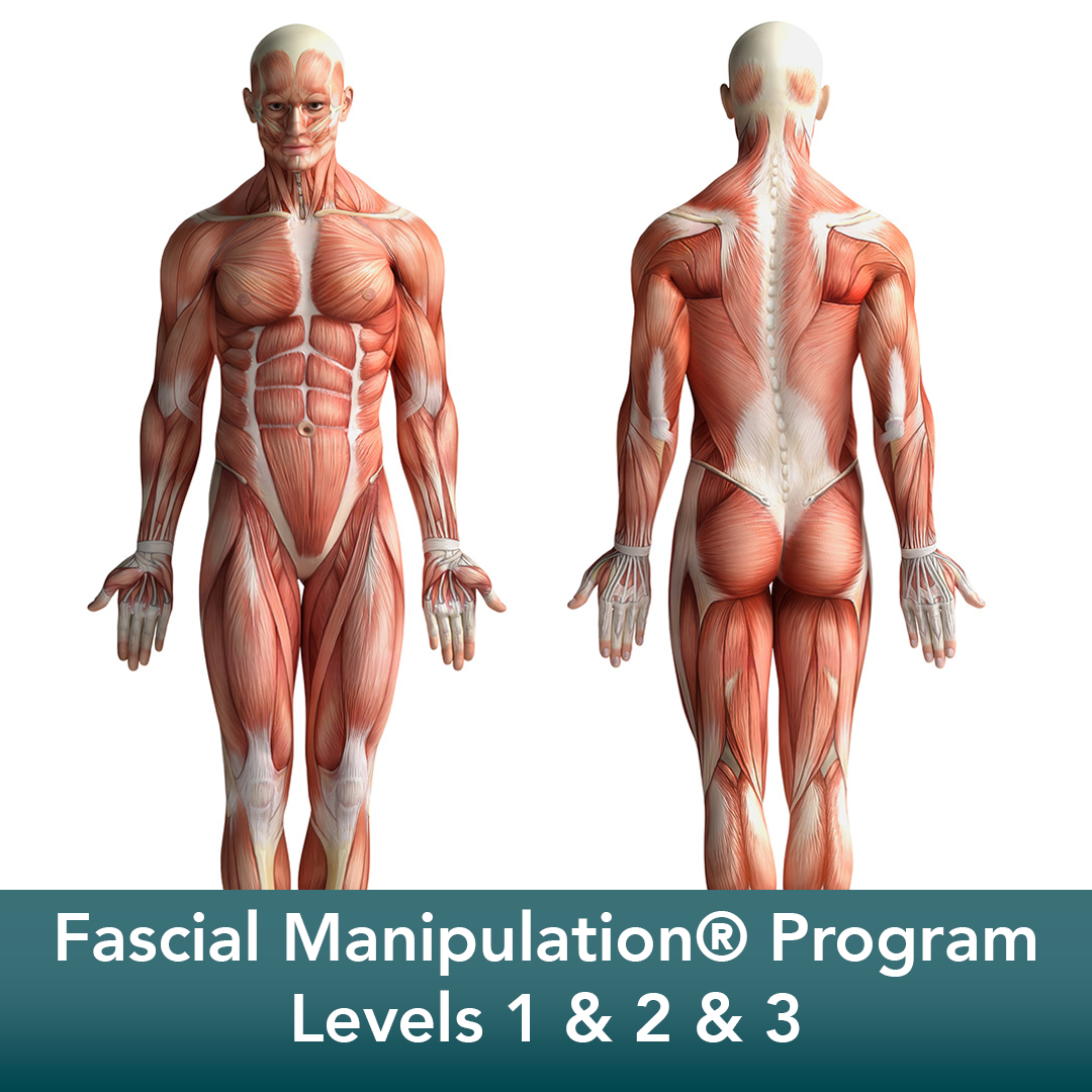 Fascial Manipulation® Program (Level 1 & Level 2 & Level 3)